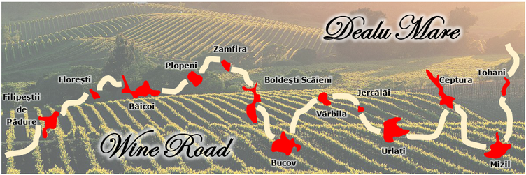 rsz_11wine_road.png